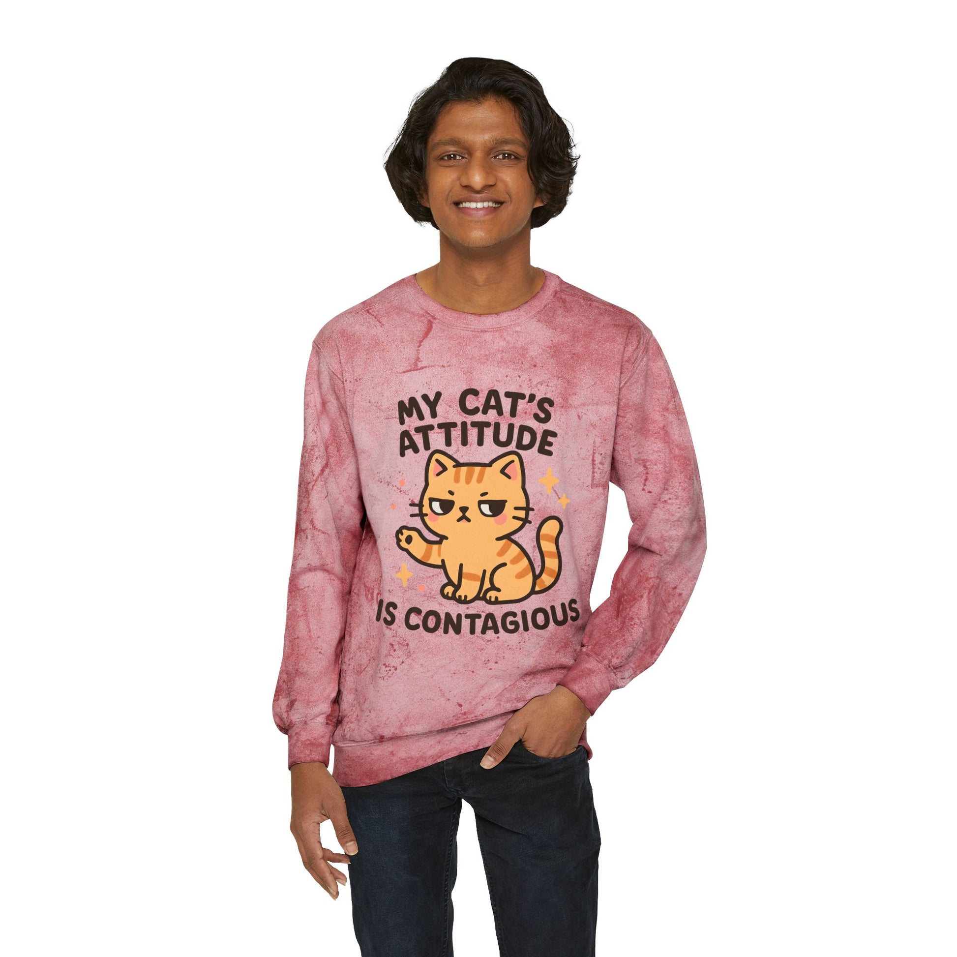 Cat Attitude Crewneck Sweatshirt, Funny Cat Sweatshirt, Pet Lover Gift, Cozy Sweatshirt