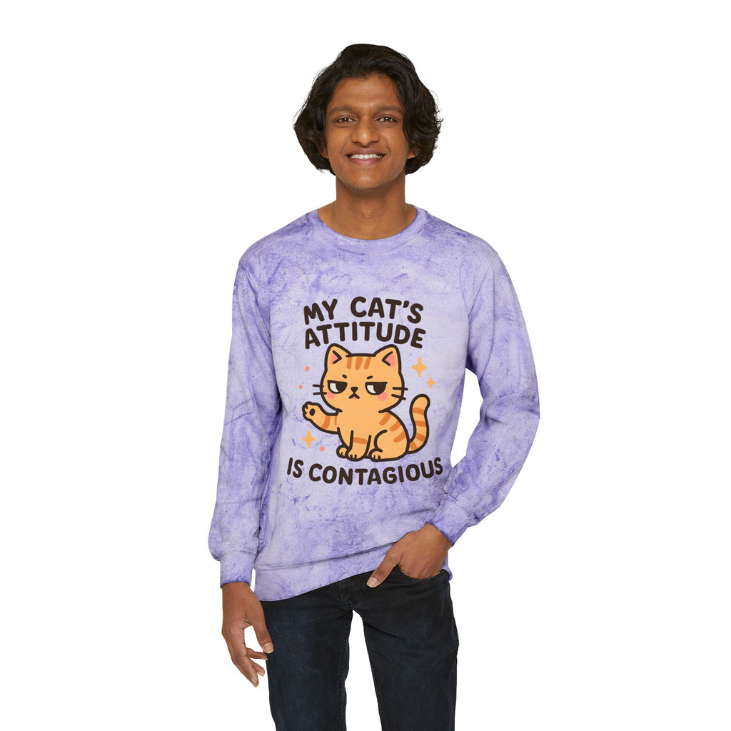 Cat Attitude Crewneck Sweatshirt, Funny Cat Sweatshirt, Pet Lover Gift, Cozy Sweatshirt