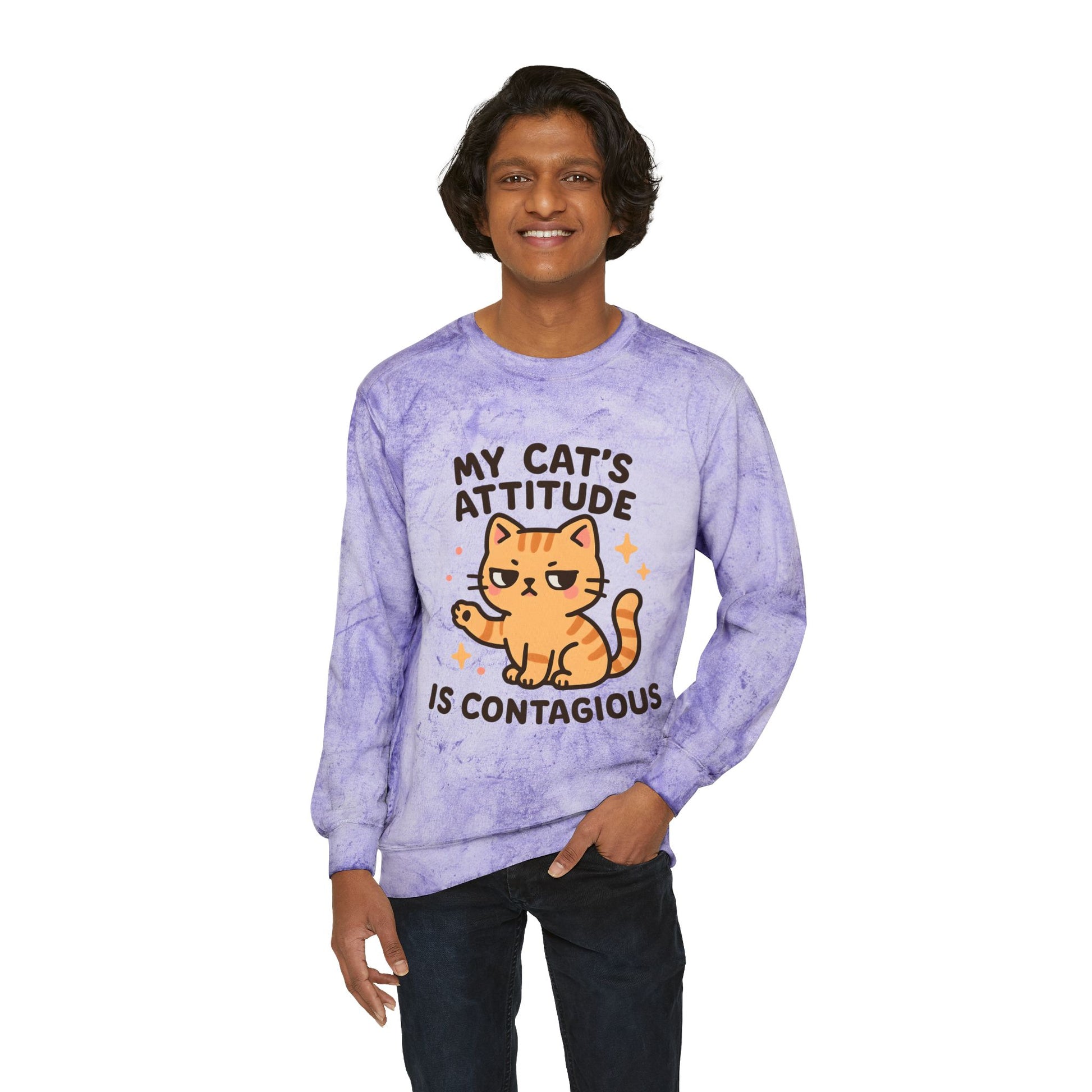 Cat Attitude Crewneck Sweatshirt, Funny Cat Sweatshirt, Pet Lover Gift, Cozy Sweatshirt