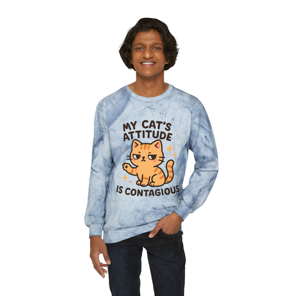 Cat Attitude Crewneck Sweatshirt, Funny Cat Sweatshirt, Pet Lover Gift, Cozy Sweatshirt