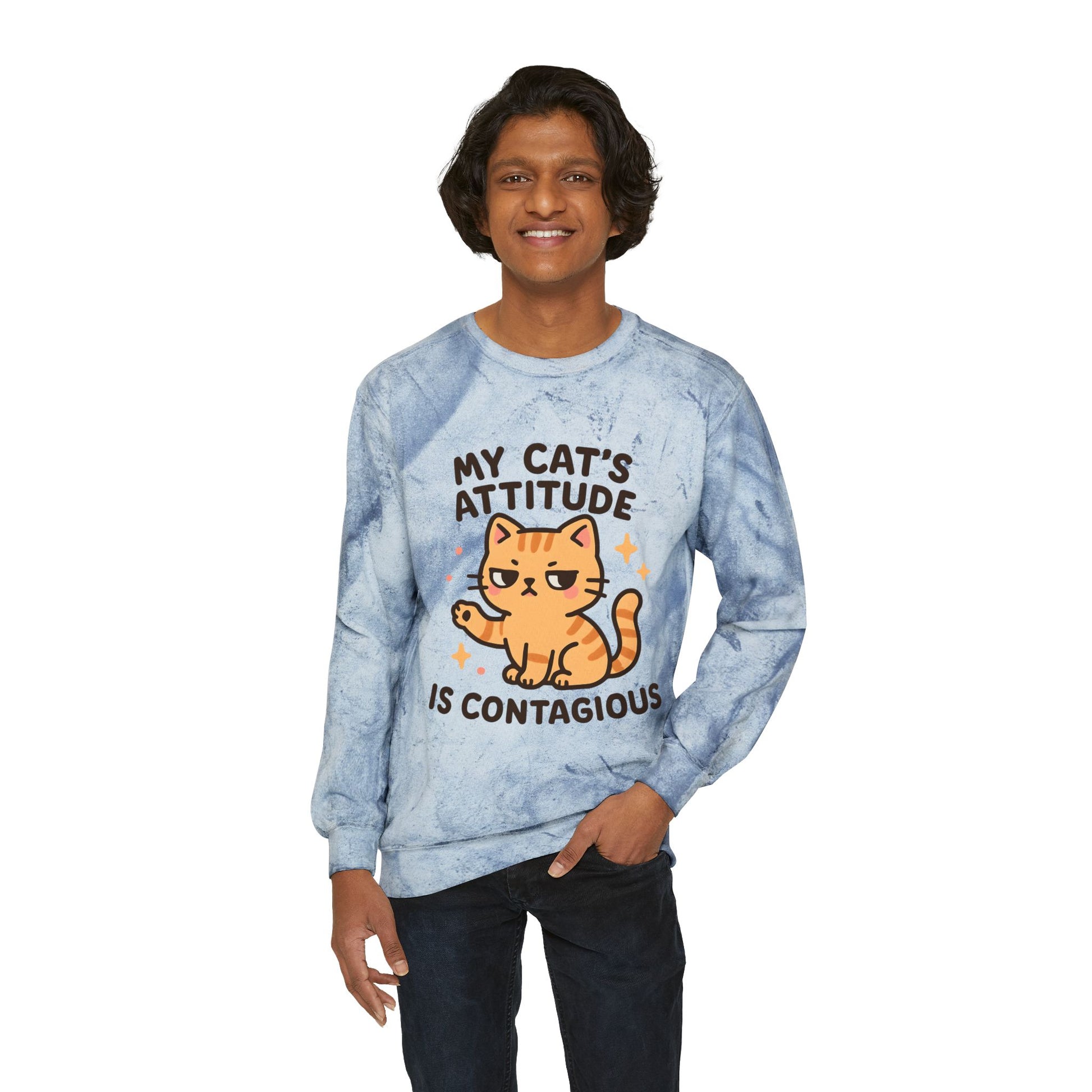 Cat Attitude Crewneck Sweatshirt, Funny Cat Sweatshirt, Pet Lover Gift, Cozy Sweatshirt