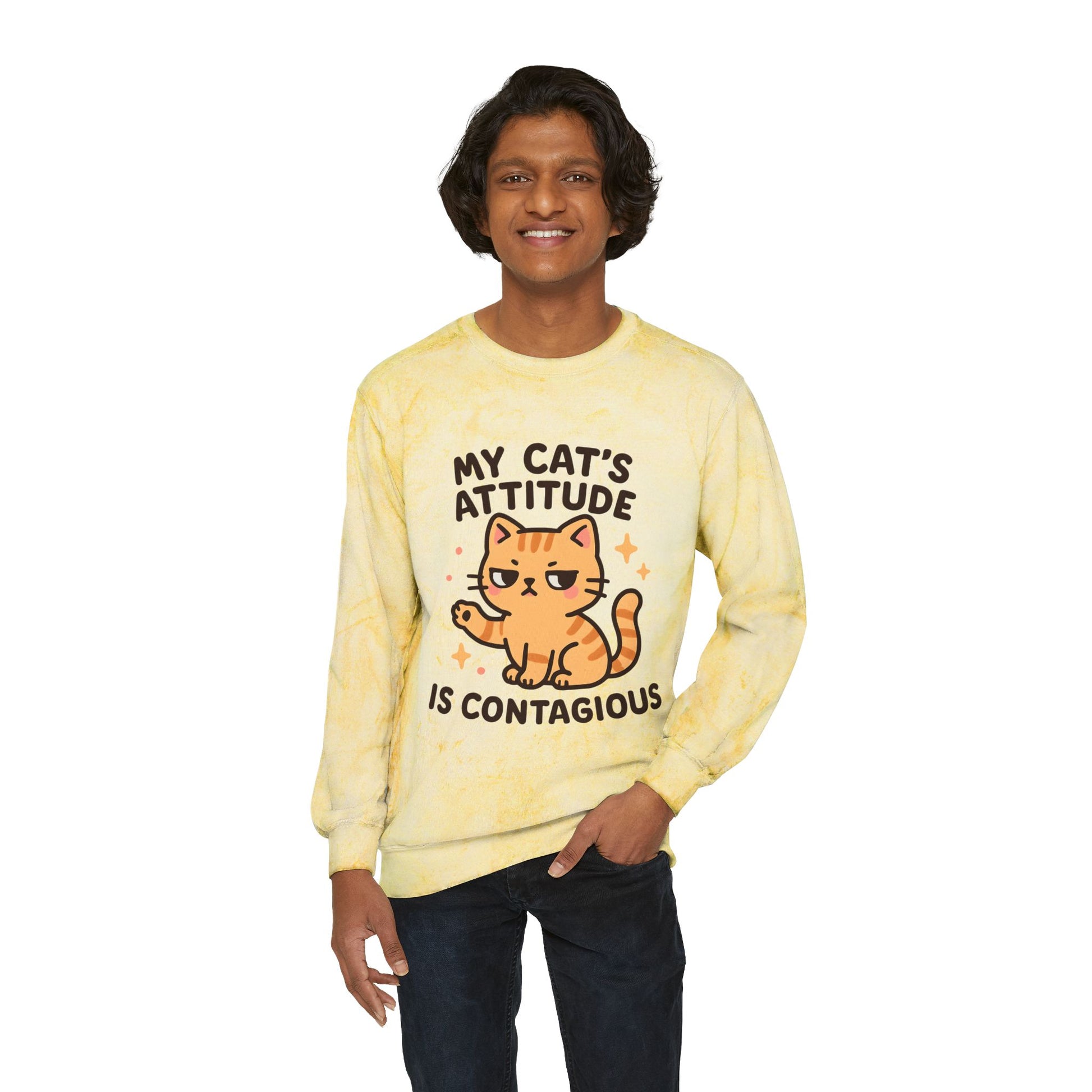 Cat Attitude Crewneck Sweatshirt, Funny Cat Sweatshirt, Pet Lover Gift, Cozy Sweatshirt